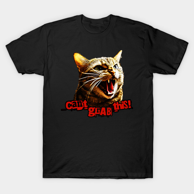 Can't Grab This